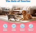 3 Pack Bovine Colostrum Nutrical Gel for Dogs & Cats,Support Appetite