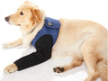 Coodeo Dog Recovery Suit, Cone Collar Alternative, Abrasion Resistant Dog Recovery Sleeve, Washable 2.5mm Thick and Wate