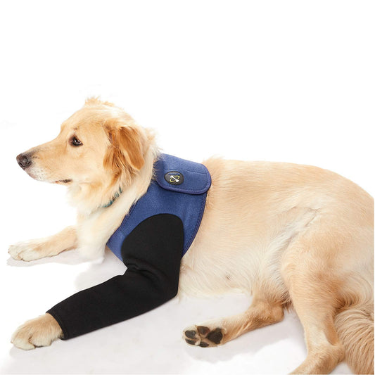 Coodeo Dog Recovery Suit, Cone Collar Alternative, Abrasion Resistant Dog Recovery Sleeve, Washable 2.5mm Thick and Waterproof, Pet Wounds Prevent Licking, Bite, Keep Dry（Blue，XL