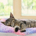 Tierecare 2 Pack Cat Blanket for Indoor Cat, Warm Calming Kitten & Puppy Beds for Anxiety and Stress, Washable Small Dog Mat for Crate, Fuzzy Pet Blankets