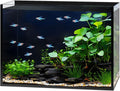 2.5 Gallon Nano Glass Fish Tank, Ultra-Clear Rimless Desktop Aquarium
