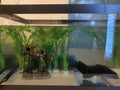 YZHZOM at-at Walker Aquarium Decorations Cool Fish Tank Decorations ATAT Walker Aquarium Decor Aquarium Castle Decor Bet
