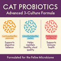 PURPLE CAT Probiotics for Cats, Gut and Digestive Health Support, 60 Chews