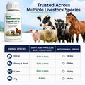 Iver-mectin for Horse, Maintain General Well-Being & Vitality