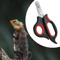 Bearded Dragon Nail Clippers with Precise Angled Edges