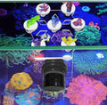Coral frag Magnetic Holder, Magnetic Coral frag Plug Holder，Magnetic Coral frag Holder,Magnetic Coral frag Rack，The Smal