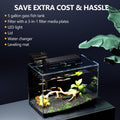 5 Gallon Fish Tank Kit with Filter Light with Timer, Lid Rimless Glass