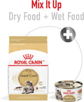 Royal Canin Feline Breed Nutrition Maine Coon Adult Dry Cat Food, 6 lb Bag
