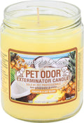 Specialty Pet Products Pet Odor Exterminator Candle, Pineapple & Coconut - Pack of 2