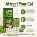 Catnip Spray for Cats – 100% Natural Catnip Spray, Boosts Playfulness & Helps Reduce Stress, Refreshes Toys, Encourages 