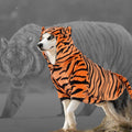 DELIFUR Large Dog Tiger Costume - Tiger Halloween Costume for Medium Large Dogs Golden Retriever Labrador Rottweiler Cut