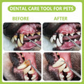 PARYUNGR Dental Tools Pet Dog Teeth Cleaner Tool Kit, Stainless Steel Plaque Remover Dental Picks Tooth Tartar Scraper, Pets Oral Care Hygiene Set for Cats and Dogs Use with Case