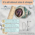 Hermit Crab Shells | Turbo Shells | Jade Green Banded Turbo Shell 4"-4.5" | Hermit Crab House for Décor | Plus Free Naut