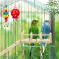 Sonwyoung 12 Pcs Parakeet Cockatiel Bird Toys, Parrot Swing Chewing Hanging Toys, Colorful Style Parrots Cage Accessories, Interactive Chew & Climb Play Set (Basic Style)