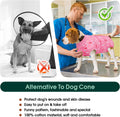 Kuoser Recovery Suit for Dogs After Surgery, Female Dog Onesie for Surgery