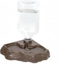 Lizard Bearded Dragon Water Bowl Dish Automatic Dispenser,17oz,Brown