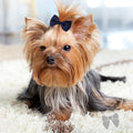 Clipband Puppy Dogs Hair Barrettes Bows with Rubber Bands,Hair Accessories Bow Pet Grooming Cute Pet Small Hair Bowkno