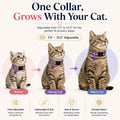 12-Pack Reflective Cat Collar Breakaway with Safety Elastic Band - Adjustable 7.5-12.5 Inch Lightweight Collar with Bell