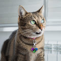 Wontee Cat Collar Bells Loud Dog Bell Training Charm Pendants for Pet Puppy Kitty Necklace Collar