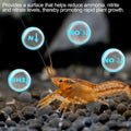 Shrimp Tourmaline 10 Pcs Rich in Calcium 30 Elements for Health,Color, Molt
