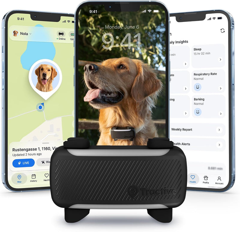 Tractive XL Smart Dog GPS Tracker | Live Pet Tracker with Virtual Fence | Vital Signs Monitoring of Heart & Respiratory 