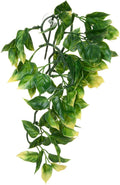 Hagen Exo Terra Plastic Terrarium Plant, Small, Amapallo