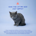 Hip and Joint Supplement for Cats - Glucosamine Powder with Green Lipped Mussel, MSM, Chondroitin, and Vitamin E - 4.23oz/120g