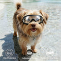 LESYPET Dog Goggles Small Breed, UV Wind Dust Protection Small Dog Sunglasses with Adjustable Strap, Puppy Sunglasses fo
