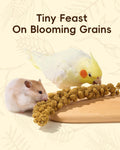 BUCATSTATE 60PCS Natural Hamster Bedding