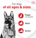 Royal Canin Probiotics for Dogs Digestive and Immune Health Powder Supplement for Dogs of All Ages, 30 Count