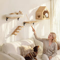 FUKUMARU Cat Wall Shelves, 17 x 10 Inch, Soft Cushion