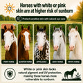 Horse Skin Summer Protection Bundle | Includes Pure Sole Horse Sunscreen Cream (8 oz) and Bug Off Balm (8 oz) | Helps Pr
