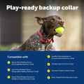 PetSafe 3/4 Inch Replacement Collar Strap, Rust