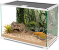 36x20 in Terrarium Backdrop Foggy Forest Stream Reptile Habitat Background