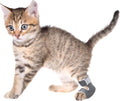 1 Pair Cat Hock Socks for Kitten Sore Hocks Ankle Protective for Cats Recovery and Relief Wound Pain