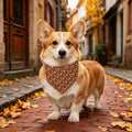 Lionet Paws Halloween Pumpkin Dog Bandana Washable Cotton Handkerchief Scarf Triangle Thanksgiving Brown Dog Bandanas fo