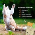 Pet Naturals Hip and Joint Supplement with Glucosamine, Green-Lipped Mussel, and Chondroitin for Cats, Duck Flavor, 160 Chews