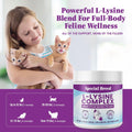Special Breed L-Lysine for Cats and Kittens – Immune, Respiratory and Eye Support – Cat Sneezing and Runny Nose Relief – Lysine Powder with Prebiotics, Krill, Bone Broth and DMG – 120 Servings