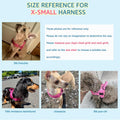 SlowTon No Pull Small Dog Harness and Leash Set with Front Clip