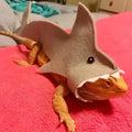 3 Pcs Shark Bearded Dragon Costume Felt Lizard Outfit Halloween Small Animal Clothes Harness for Chameleon Gecko Amphibi