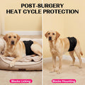 DENTRUN Male Dog Wrap, Adjustable Belly Band Leak-Proof & Lick Prevention