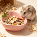 Small Guinea Pig Food Bowl Strawberry-Shaped Cute Ceramic Hamster Water Bowl Ferret Rat Chinchilla Rabbit Feeding Dish Y