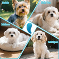 Comma-Shaped Small Dog Brush, Puppy Essentials