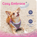 Eagloo Small Dog Harness and Leash Set, Step in Puppy Vest with Breathable Soft Mesh, Walking Reflective Pet Harness for Small Dogs, Pink, S