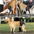 Dog Sling for Large Dogs Hind Leg Support, Adjustable Soft Padded Harness for Weak, Injured, or Disabled Back Legs, Help