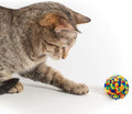 Andiker 6 Pcs Assorted Color Cat Ball Toys, Woolen Yarn Puffs Cat Pom Pom Balls Interactive Kitten Chasing Toys