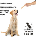 Hive Chew Sticks - Dental Treats for Dogs - Vegetarian, Made with Ground Peanuts & Honey, No Grain or Soy, Cleans Teeth & Freshens Breath (7 oz, Large Dogs - Pumpkin)