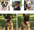 Chain Dog Choker Collar for Large Dogs, Metal Slip Link Training Heavy Duty Dog Choke Collar Martingale Puppy Collars fo