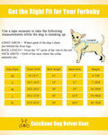 CuteBone Sunflower Pet Surgery Recovery Suit for Small Dogs Cats, Surgical Onesie for Female Pets, Anti-Licking Wound Su