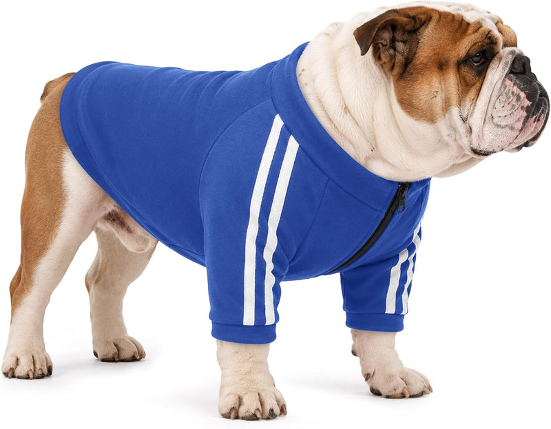 PUMYPOREITY Bulldog Sweatshirt for Broad-Chested Dogs, Blue, L